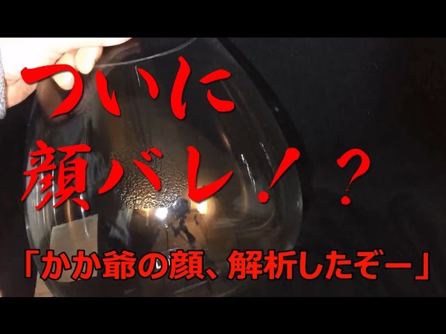 ADA Do!aqua オーバル25 ボトルアクアリウム