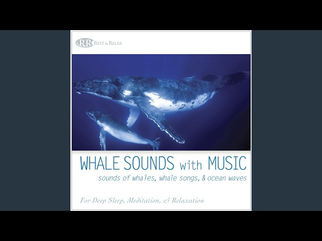Akim Bliss - The Ocean Deep