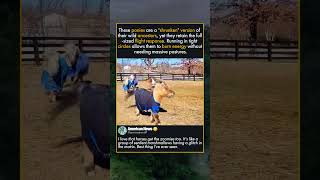 WHEN THE PONY SQUAD ASSEMBLES