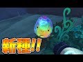 新スライム発見!! 新エリアの秘密もわかってきたぞ!! メロメロスライム天国でスライム牧場!! #53 - Slime Rancher 実況プレイ