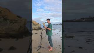 Video thumbnail of "Vance Joy - Georgia (seaside cover by Go-Jo)"