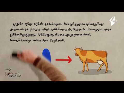 ფერმერის სარჩევი: ჰიგიენა რძის სექტორში - წველის პროცედურა