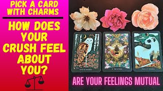 Celebrity 👤💘HOW DOES YOUR CRUSH FEEL? IS IT MUTUAL❤️‍🔥👤|🔮CHARM|TAROT PICK A CARD🔮 Net Worth