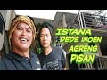 ISTANA DEDE INOEN ISI NYA ULAR AMAZINK PISAN