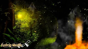 Âm thanh của côn trùng trong rừng rậm giúp bạn ngủ say nhanh chóng