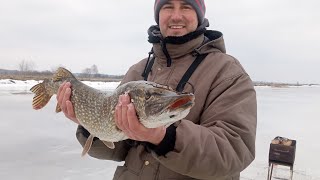 КРОКОДИЛЫ НА ДЕРЕВЕНСКОМ ПРУДУ!! ЛЕСКА ТРЕЩИТ!! ШАШЛЫКИ НА ПРИРОДЕ!! ОТДЫХ ПО ПОЛНОЙ ПРОГРАММЕ!!