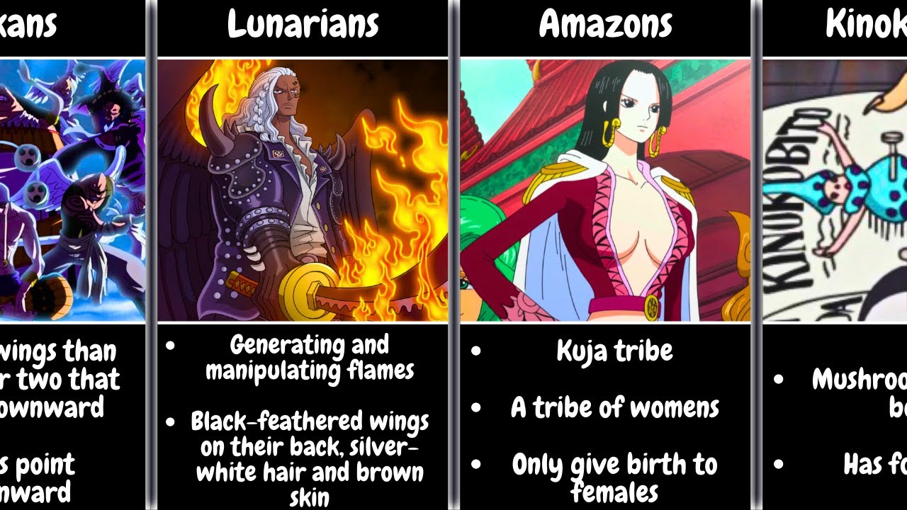 All The Races In One Piece YouTube All The Races In One Piece YouTube