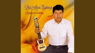 Video thumbnail of "Luis Arcos Espinoza - Limón Verde"