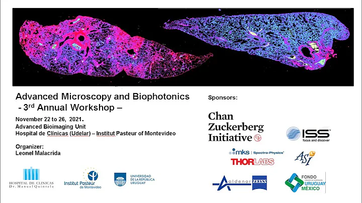 Lecture 8  Enrico Gratton The phasor plots for FLIM and FRET