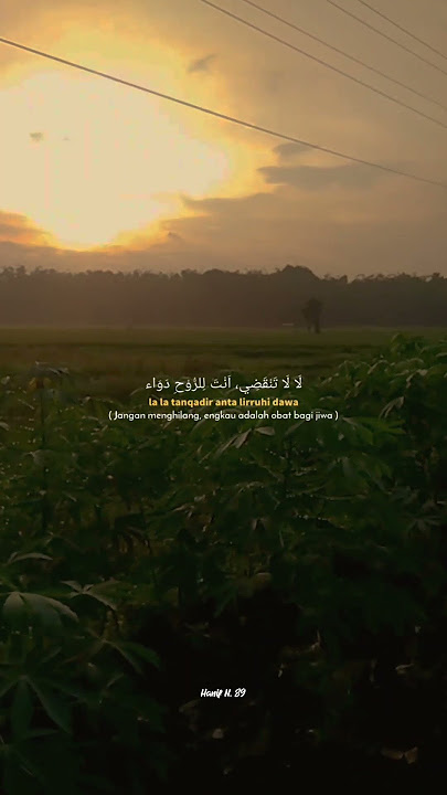 #shorts || STORY WA (RAMADHAN - MAHER ZAIN)