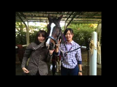 追いコンPV2013