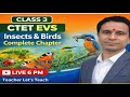 CTET EVS Insects &amp; Birds Complete Chapter Explained | Class 3 Full Theory | Exam Special