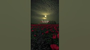 قل لن يصيبنا إلا ما كتب الله لنا | تلاوة خاشعة محمد أحمد حسن | سورة التوبة