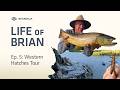 Life of Brian – Ep.5: Ultimate Western Hatches Fly Fishing Tour