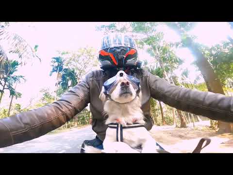 Jimy is travelling the whole Bangladesh with me ||  Lady biker || Sujata ||