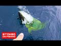 Using Live Yellowfin Tuna as Bait | Stoked On Fishing Full Episode | 2019