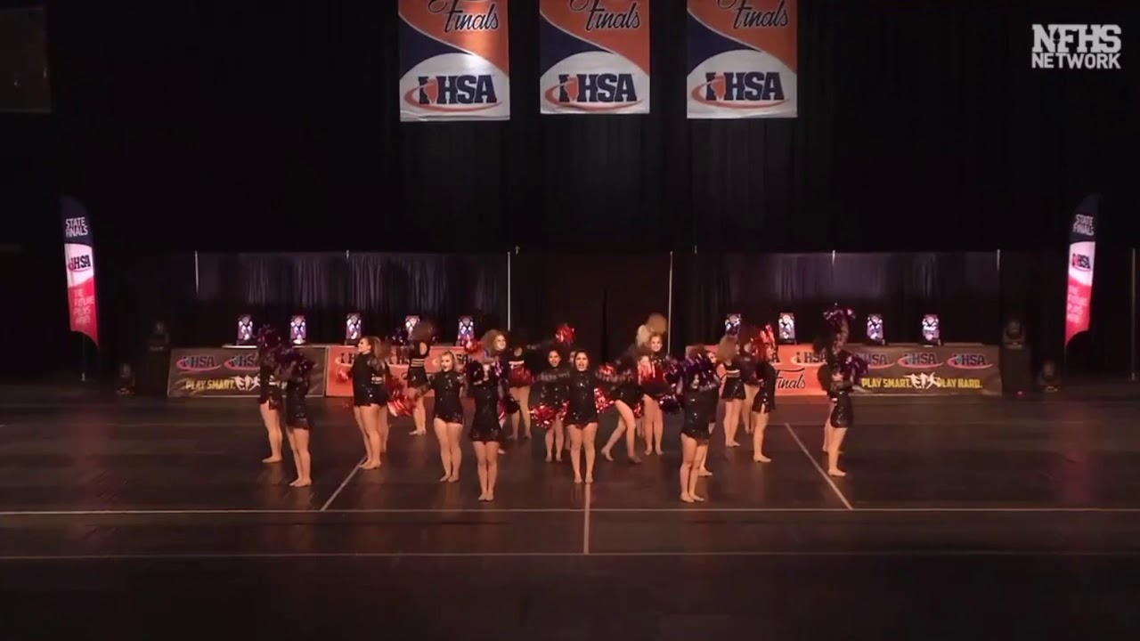 Reavis Ramettes 2019 IHSA State Performance