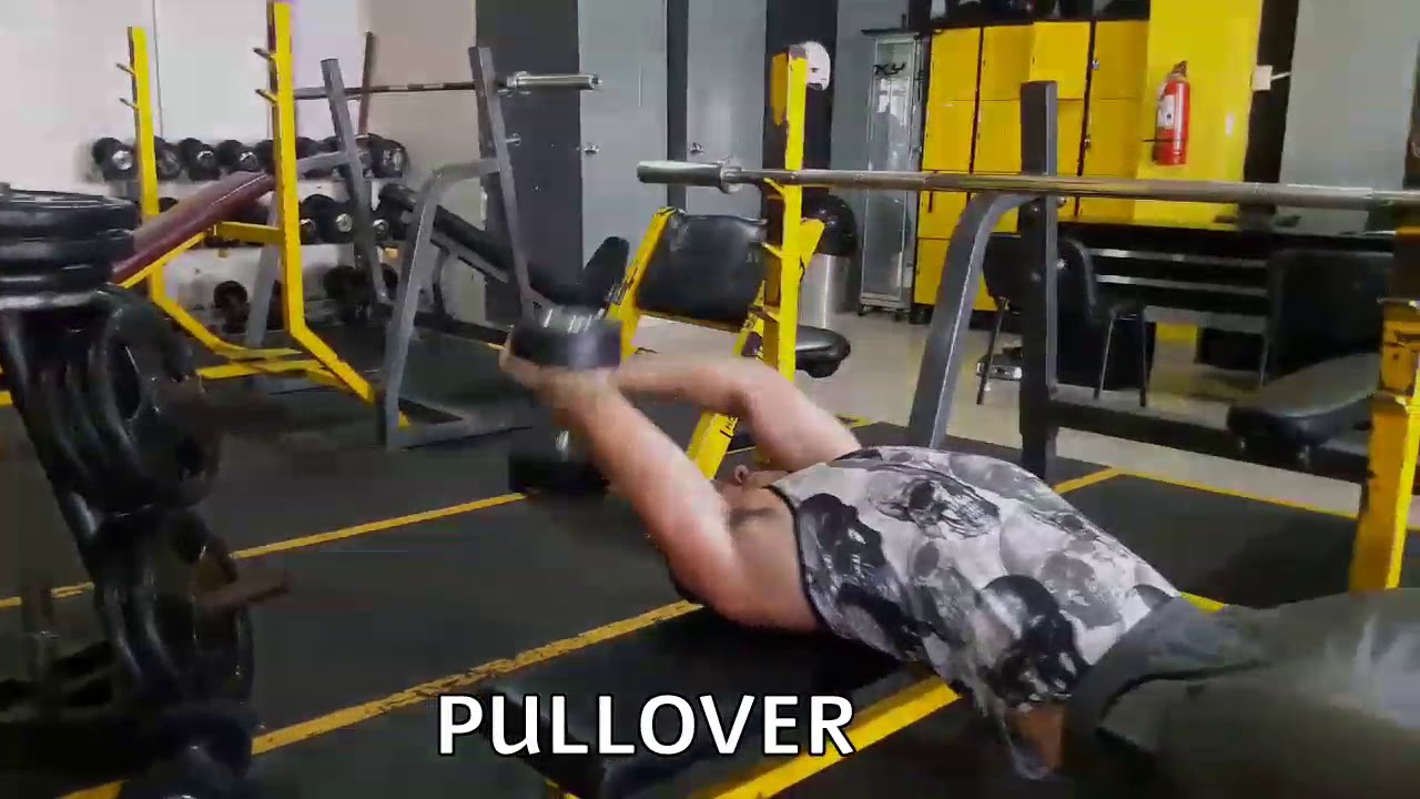 REALITY BODY : ENTRENAMIENTO DE PECTORALES camera iphone 8 plus apk