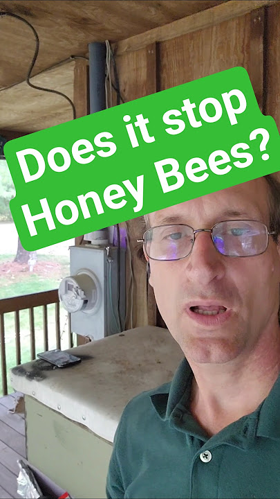 Smart meter bees, adding cell @BiggieBobThornton@ShellyDean #Beekeeping