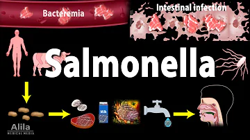 Co zabíjí salmonelu v těle?