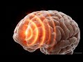 Decoding Cognitive Control  The Spatio Temporal Map
