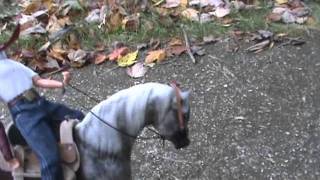 Video <span aria-label=