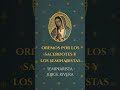Día 09 - Oremos por el seminarista Jorge Rivera | Bajo Tu Amparo | Español