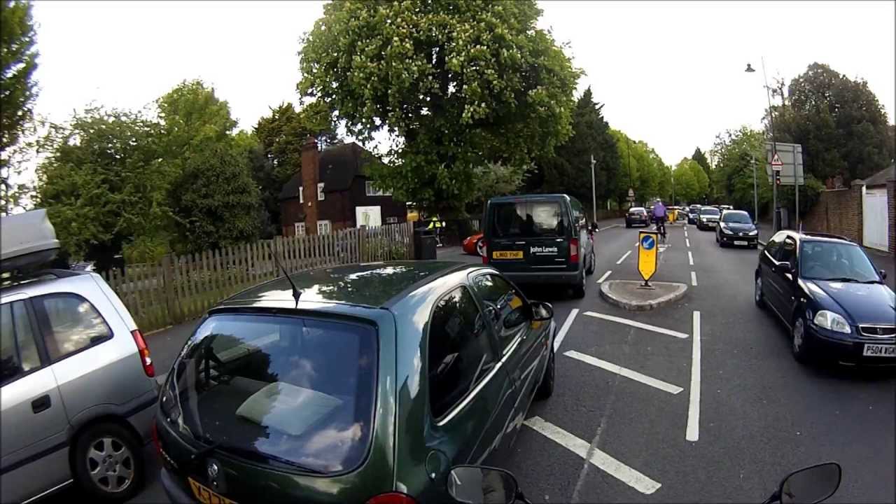 cute cats for sale Episode 2. Bigsmokeandthebandit2