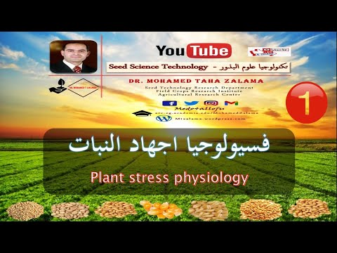 فيديو: ما هي العمليات الفسيولوجية في النباتات؟