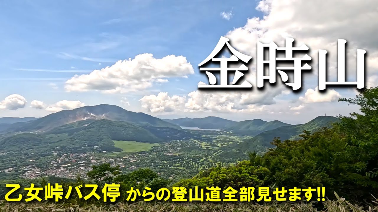 登山体験】金時山、お手軽に富士山を見に行ける山に登ってきました