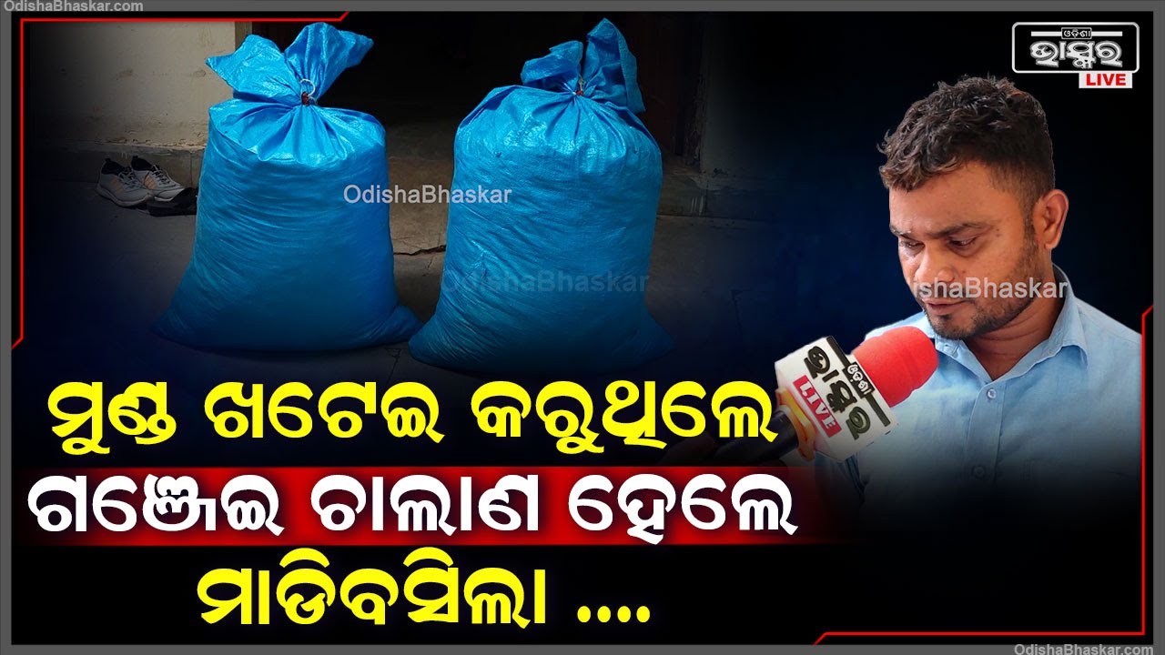 ଦୁଇଟି ଗାଡି ବ୍ୟବହାର କରି ଭିନ୍ନ ଷ୍ଟାଇଲରେ କରୁଥିଲେ ଗଞ୍ଜେଇ ଚାଲାଣ ,ହେଲେ ମାଡିବସିଲା ଅବକାରୀ ବିଭାଗ