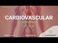 Cardiovascular Update – 18 Jun 2026: Triformis Resilia and Thunderbolt FDA Clearance and More