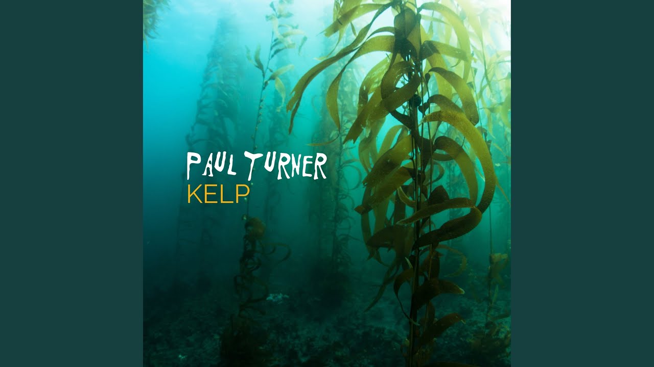 Watch Kelp on YouTube Watch Kelp on YouTube