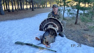 Spring Turkey Hunt Success | Public Land Gobbler Down | #turkeyhunting #springturkeyhunting #DIYHunt