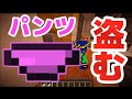[茶番] かわいいパンツを盗んでみたら・・・[マイクラ]