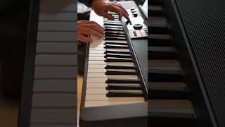 Die rote Sonne von Barbados - German Schlager On The Casio CT-S1000V Keyboard #cts1000v #casiotone