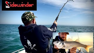 GIANT thresher shark! 🔥/ small boat fishing uk 🇬🇧 the biggest shark iv ever seen! 🏴‍☠️#fishing #fish