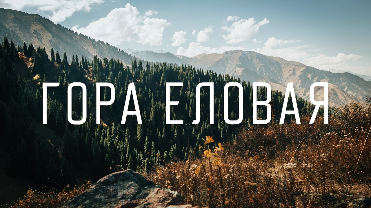 Latest Hiking Adventure thumbnail