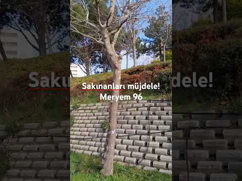 Sakınanları Müjdele Meryem 96