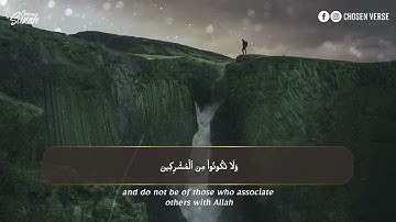 "سورة الروم " المصحف المرتل