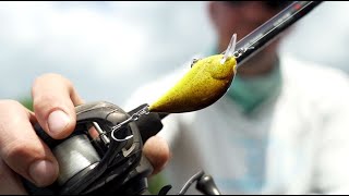 Ultimate Balsa Squarebill Crankbait