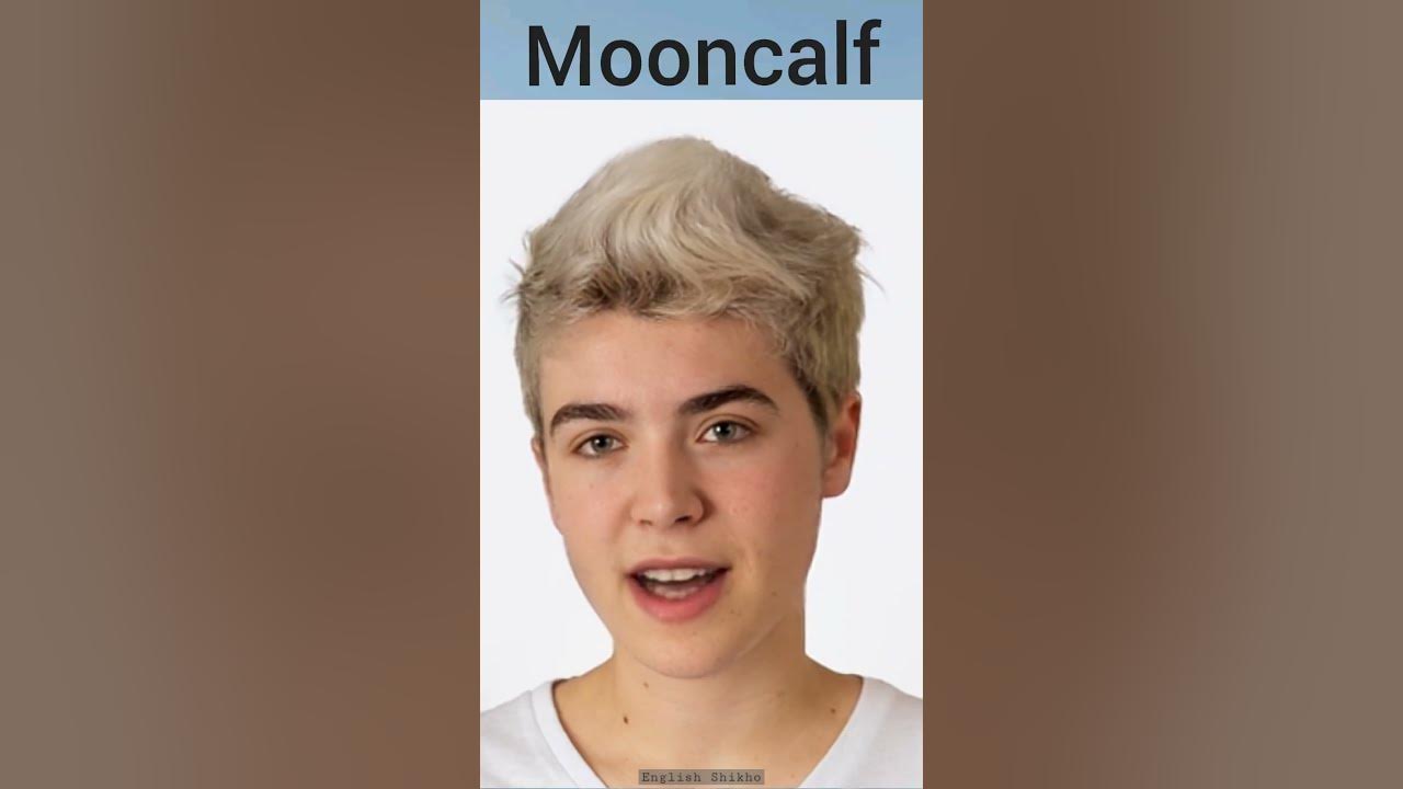 What Is The Meaning Of Mooncalf What Is Meant By Mooncalf Mooncalf what-is-the-meaning-of-mooncalf-what-is-meant-by-mooncalf-mooncalf