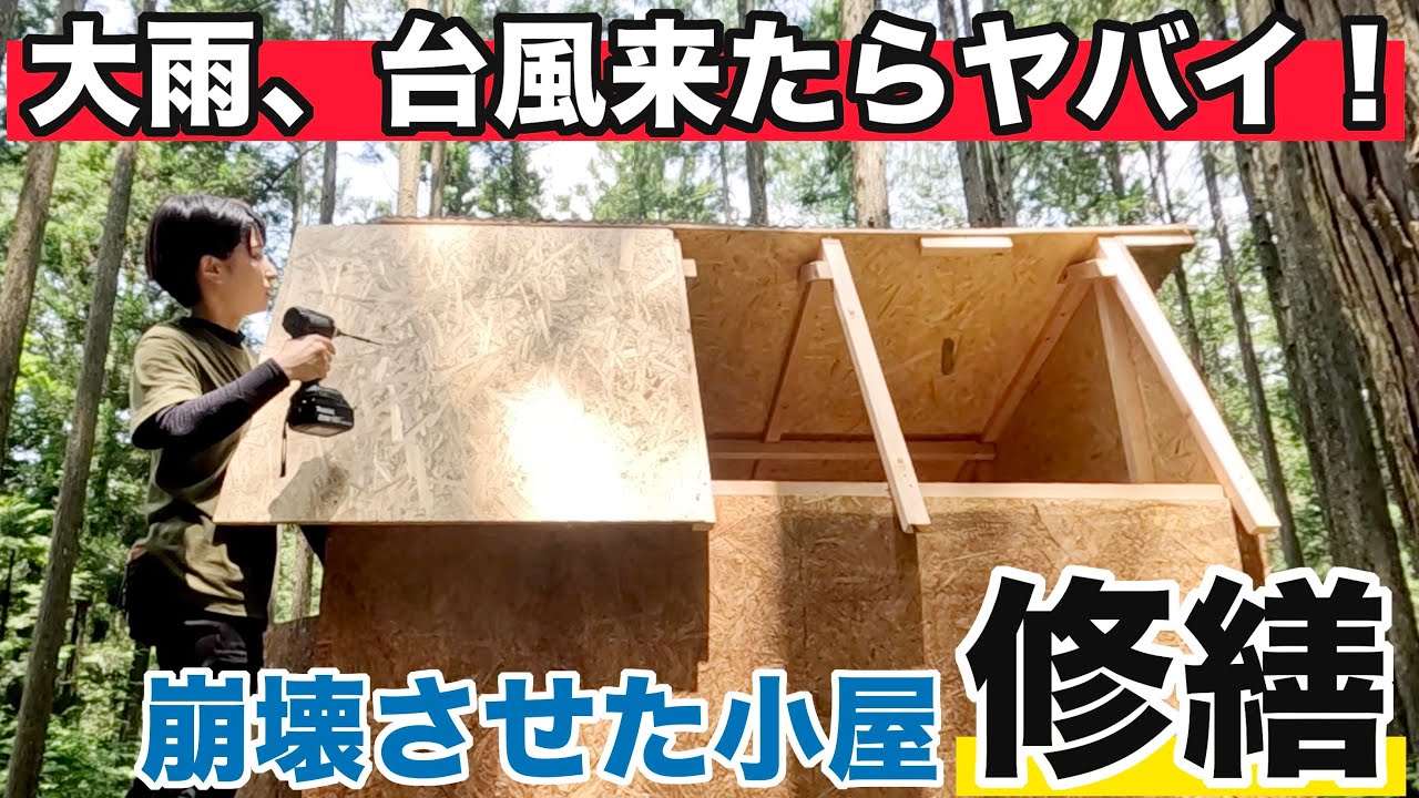 DIY Girl] An amateur repairs a collapsed shed and the result is