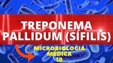 Como é que a bactéria Treponema pallidum age no organismo?