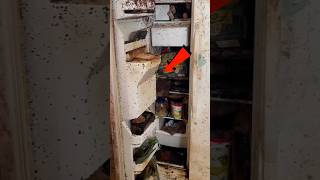 😱 Room Dust Particles!.. Don't skip