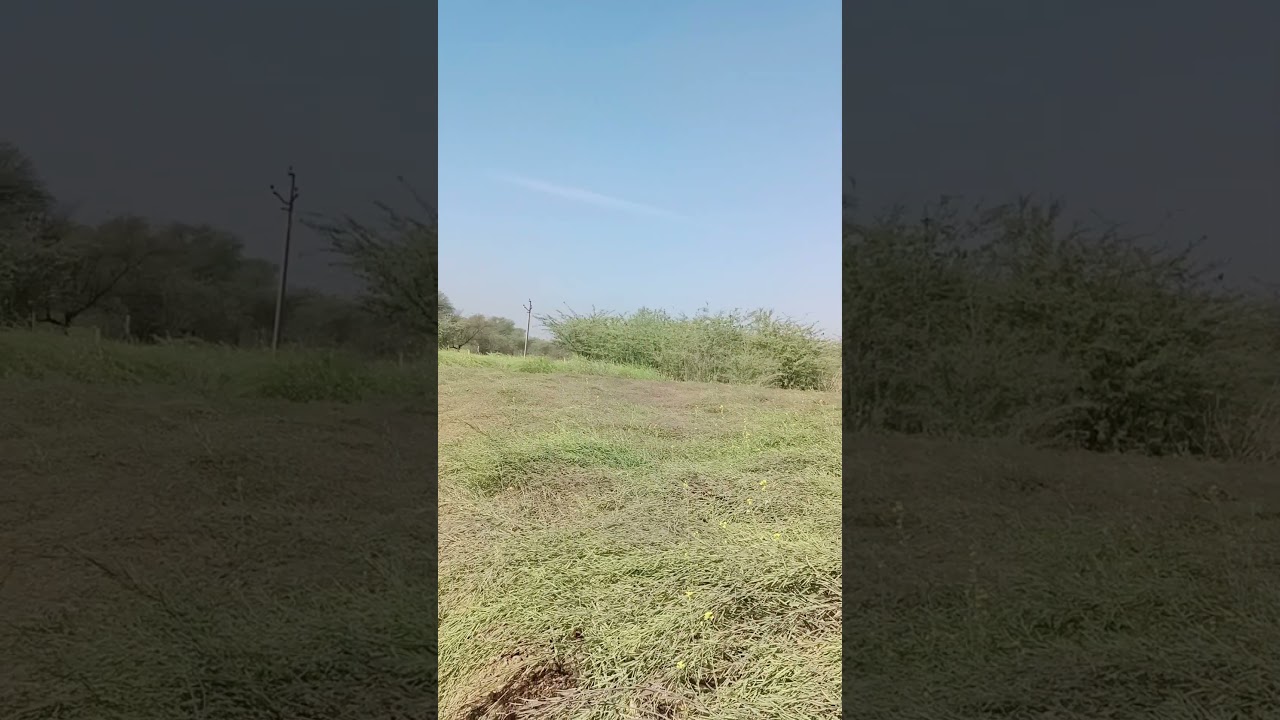 #trending #nature #travel #india #farming #song #movie #love #like #new #reels #farmer #love #image