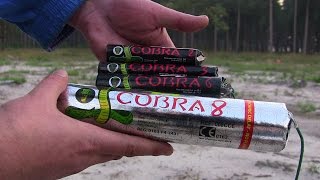 Cobra 2 Vs Cobra 3 Vs Cobra 6 Vs Cobra 8