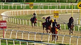 DİLAYHAN 1200 meter derece 1 20 rahat   30 05 2024 PERŞEMBE