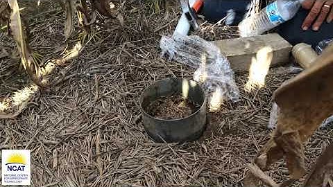 Infiltration Ring with Ray Archuleta