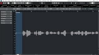 CUBASE TUTORIAL_HOW TO REMOVE NOISE FROM VOCALS